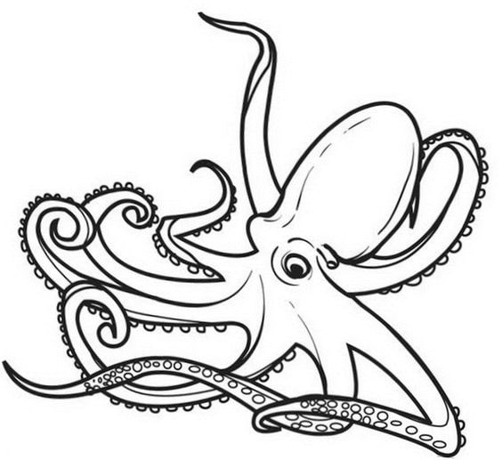 con bạch tuộc khổng lồ cho bé tô màu