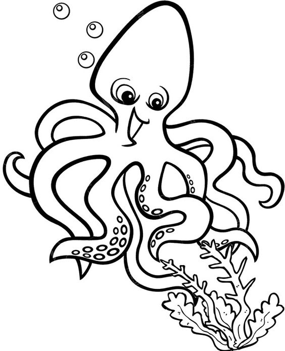 hình ảnh tô màu con bạch tuộc