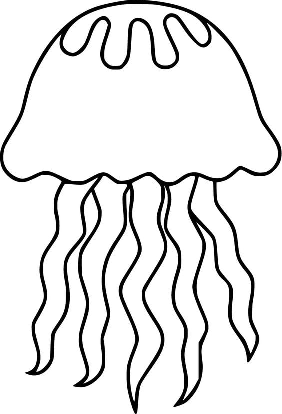 hình tô màu con sứa