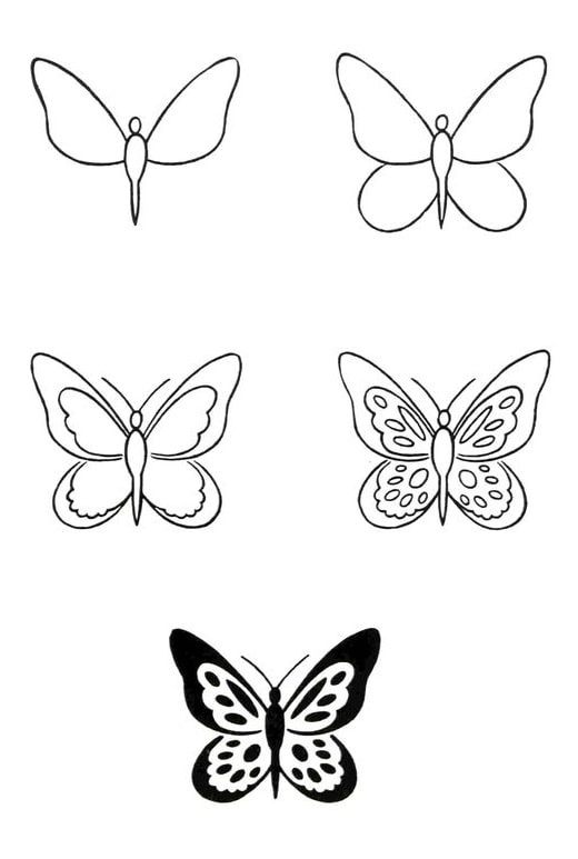 hình vẽ con bướm đơn giản
