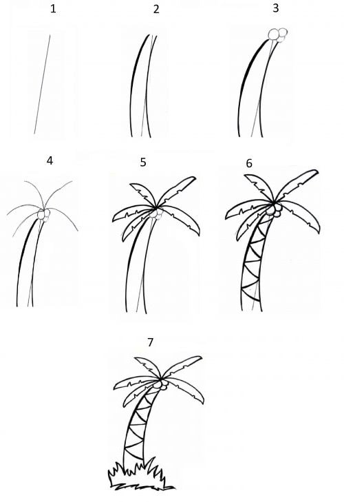 hướng dẫn cách vẽ cây dừa