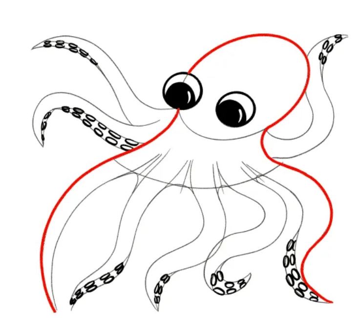 hướng dẫn cách vẽ con bạch tuộc bước 5