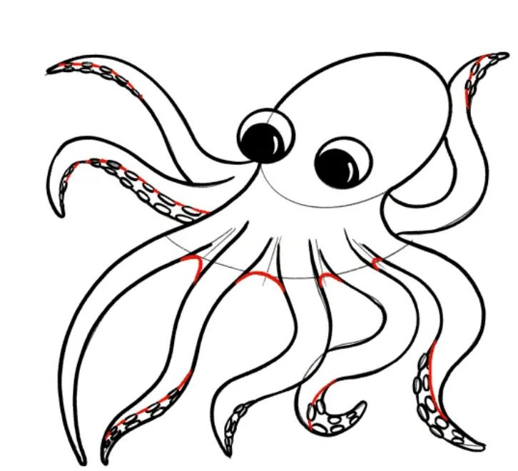 Cách vẽ con bạch tuộc cho bé [Mẫu hình vẽ bạch tuộc ... - NGONAZ - Cosy