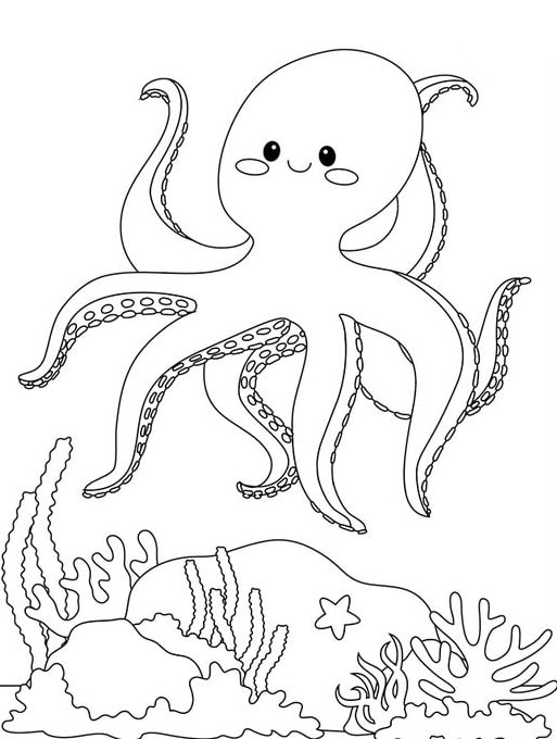 tô màu hình con bạch tuộc