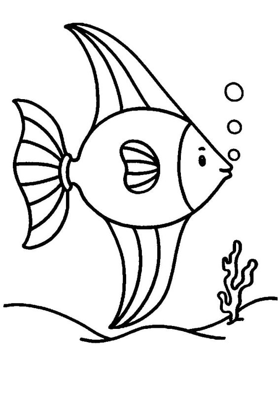 tranh tô màu cho bé 3 tuổi hình con cá